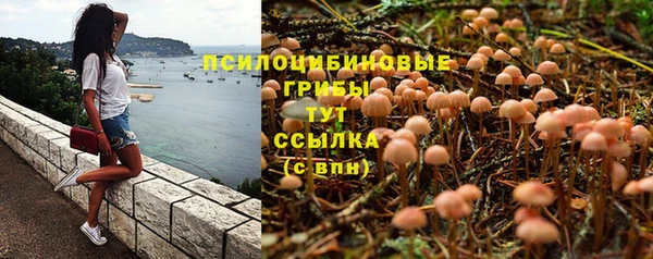 соль курить ск Кукмор