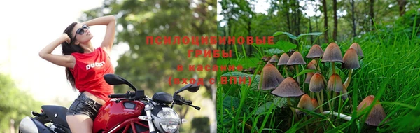 2c-b Кулебаки