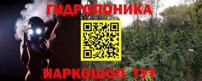 спиды Бузулук